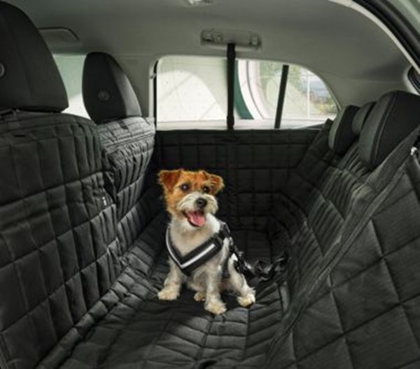 Lloyd- Škoda-pet-packs