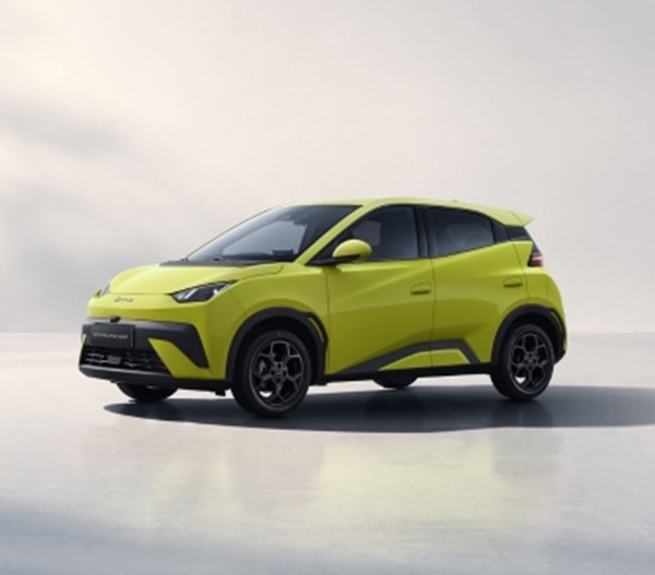 BYD DOLPHIN SURF