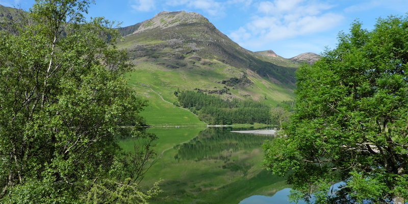 Buttermere Dog Walk - High Stile