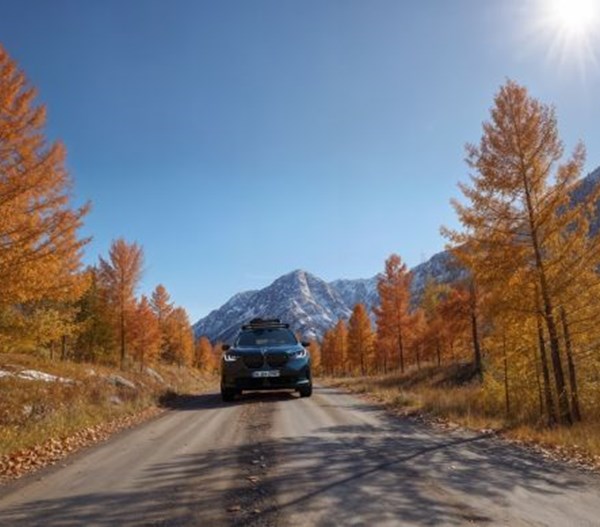 BMW Seasonal Health Check