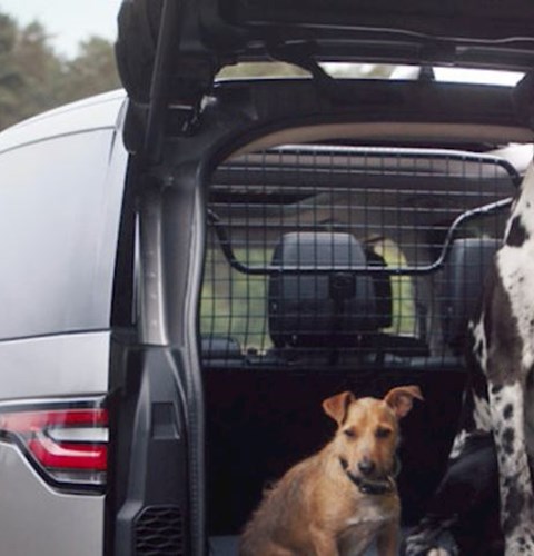 Top Land Rover Pet & Dog Accessories