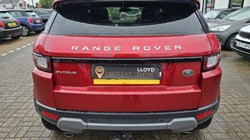 2017 (67) LAND ROVER RANGE ROVER EVOQUE 2.0 TD4 SE Tech 5dr Auto 3308518