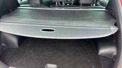 2018 (18) KIA SPORTAGE 2.0 CRDi GT-Line 5dr [AWD] 3292676